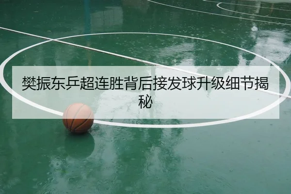 樊振东乒超连胜背后接发球升级细节揭秘